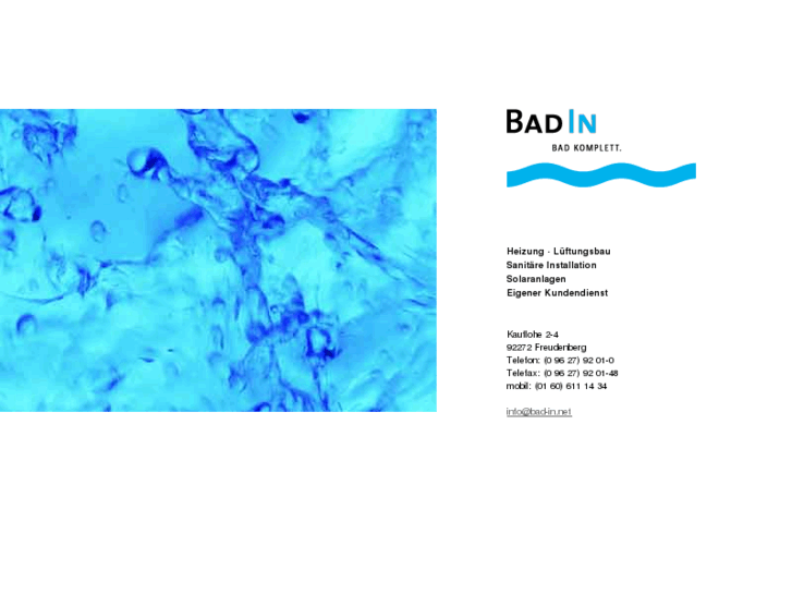 www.bad-in.net