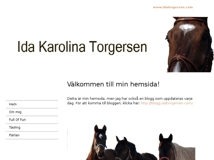 www.idatorgersen.com