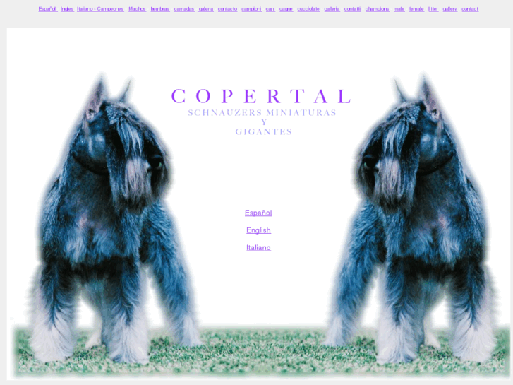 www.copertal.com