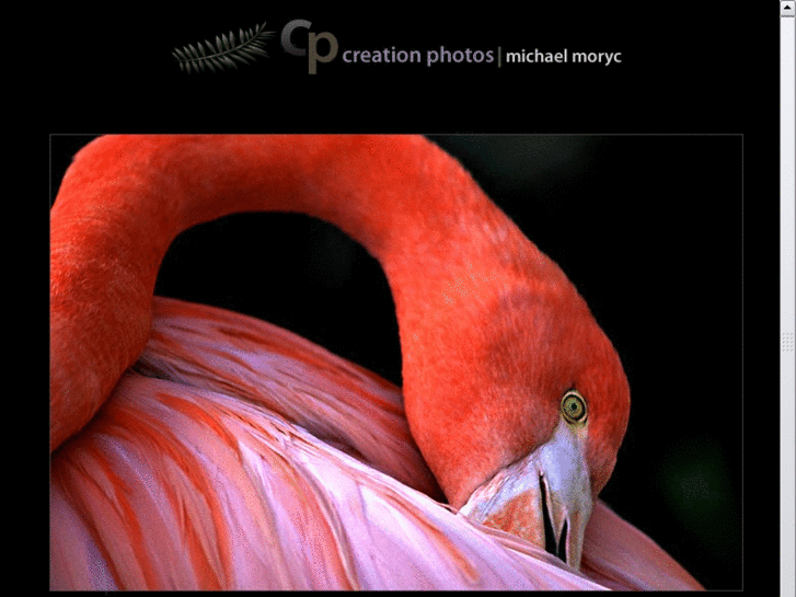 www.creationphotos.com