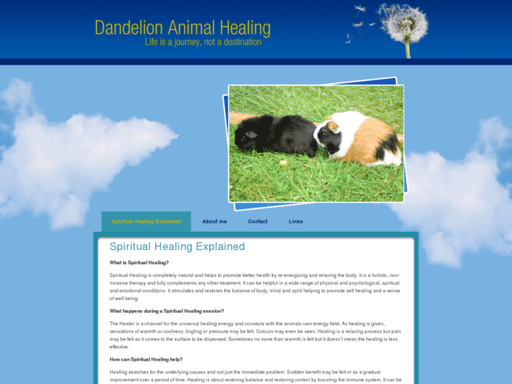 www.dandelionanimalhealing.com