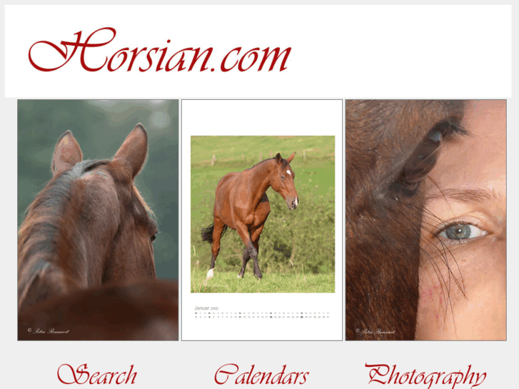 www.horsian.com