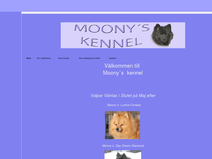 www.moonyskennel.com