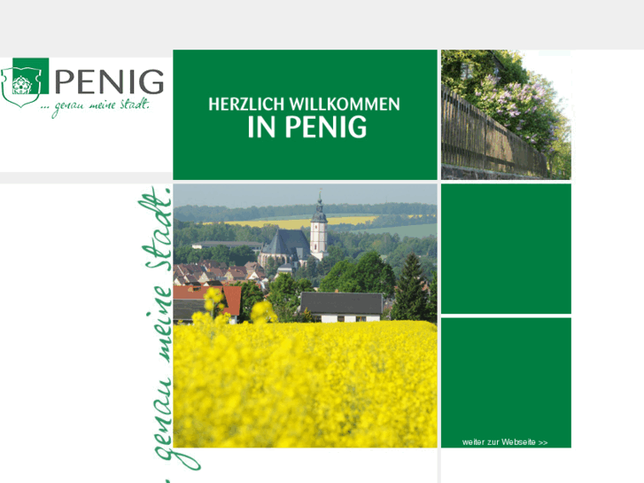 www.penig.de