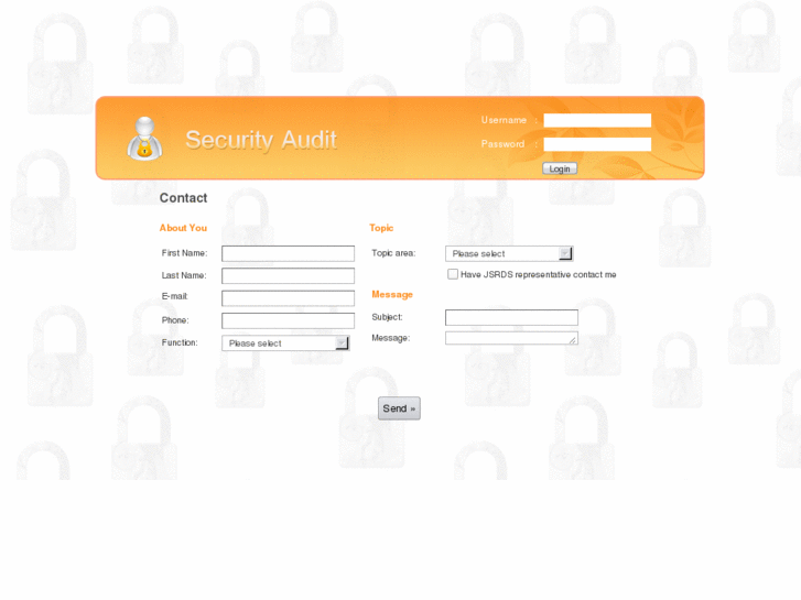 www.securityaudit.com