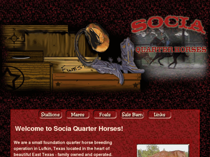 www.sociaquarterhorses.com