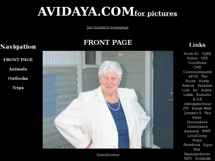 www.avidaya.com