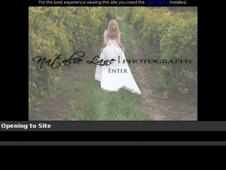 www.natalielanephotography.com