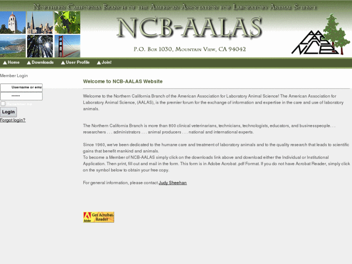 www.ncbaalas.org