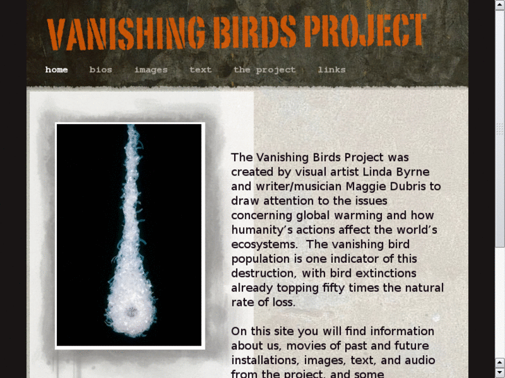 www.vanishingbirdsproject.com