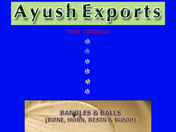 www.ayushexports.com