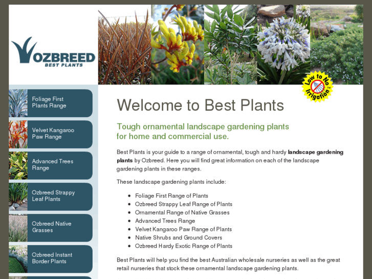 www.bestplants.com.au