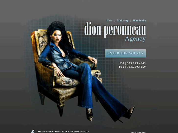 www.dionperonneau.com