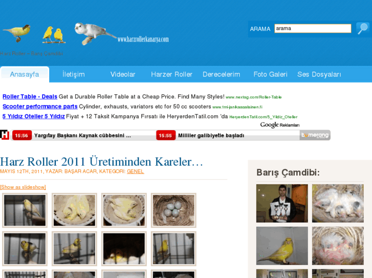 www.harzrollerkanarya.com