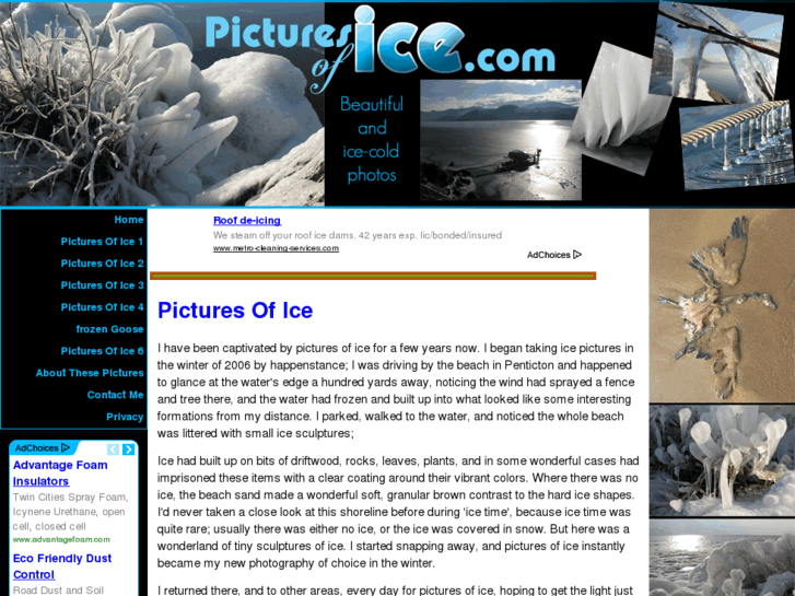 www.picturesofice.com