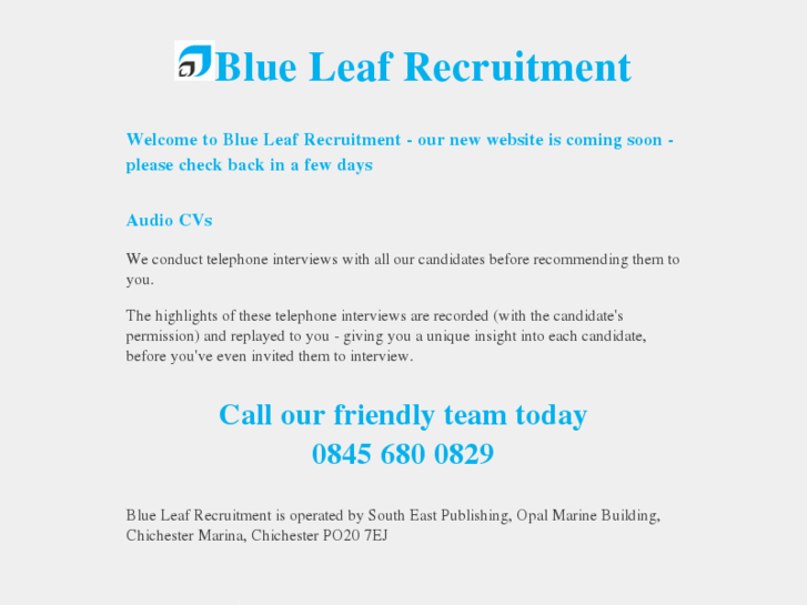 www.blueleafrecruitment.com