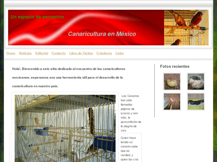 www.canariculturaenmexico.com