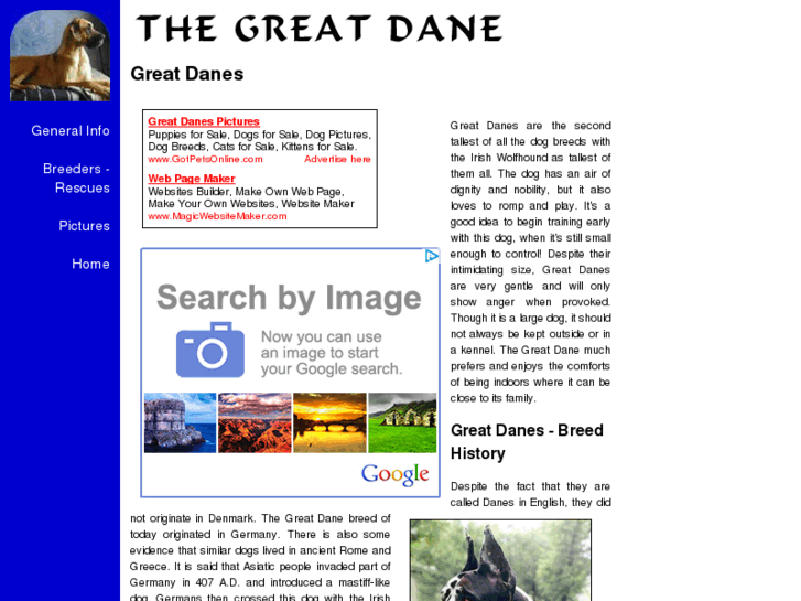 www.great-dane-dogs.com