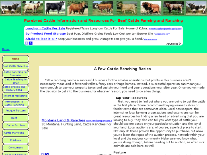 www.purebred-cattle.com