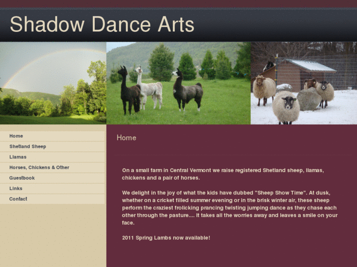 www.shadowdancearts.com