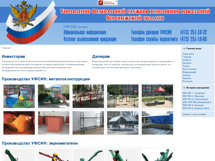 www.ufsin-vrn.ru