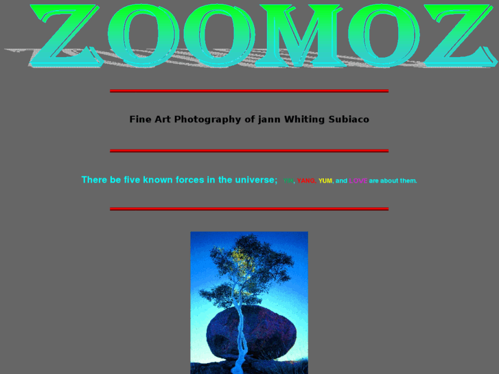 www.zoomoz.com