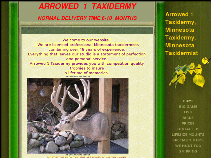 www.arrowed1.com