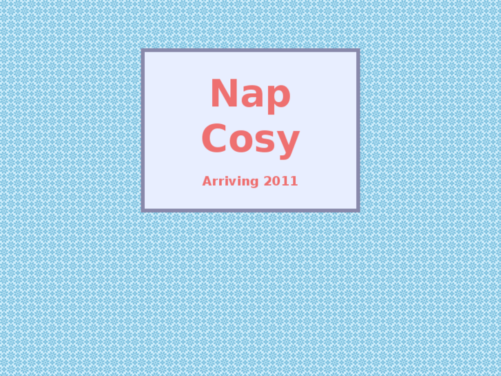 www.napcosy.com