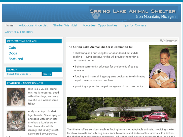 www.springlakeanimalshelter.com