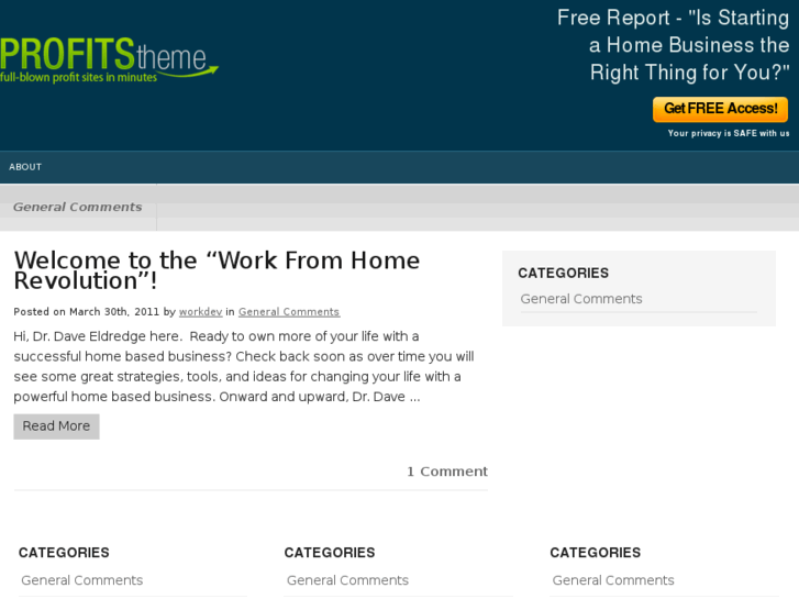 www.workfromhomerevolution.com