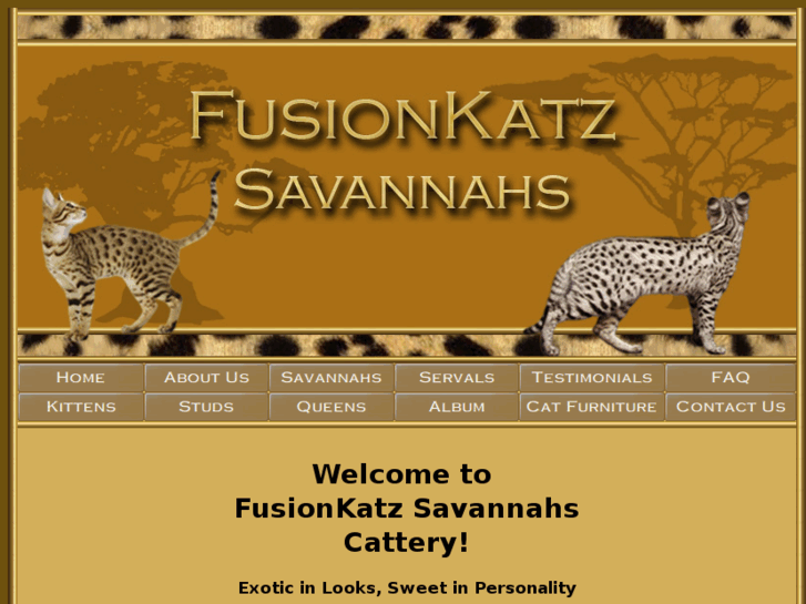 www.fusionkatz.com