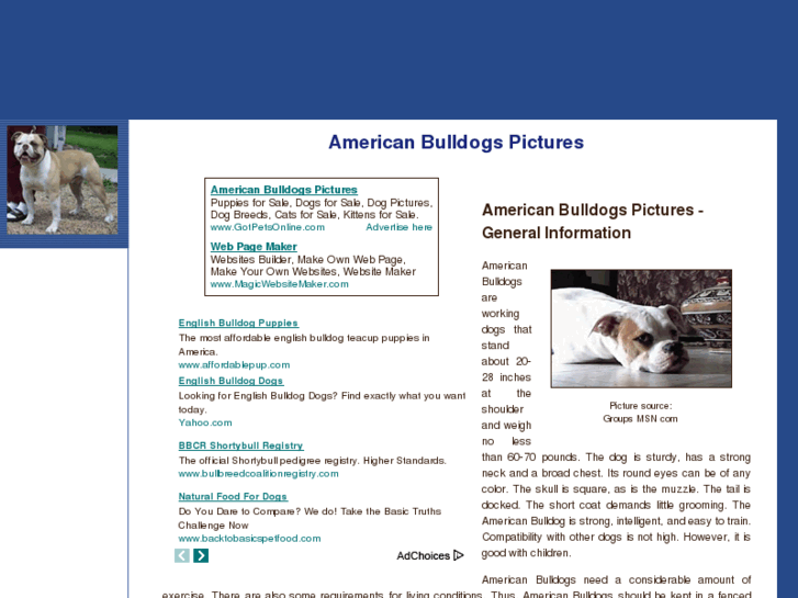 www.american-bulldogs-pictures.com