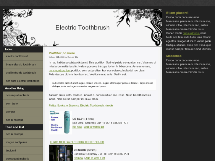 www.electric-toothbrush.org