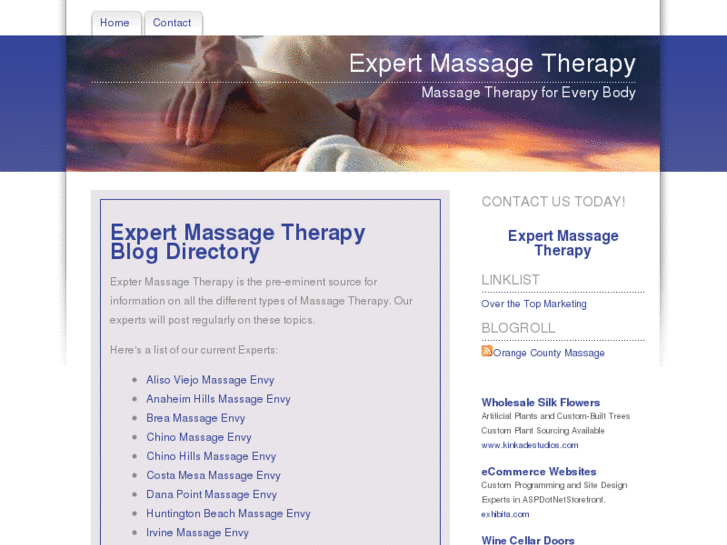 www.expertmassagetherapy.com