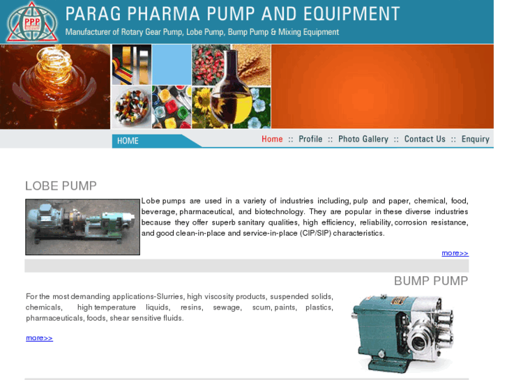 www.paragpumpandequip.com