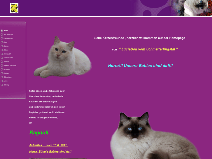 www.ragdoll-rassekatze.com