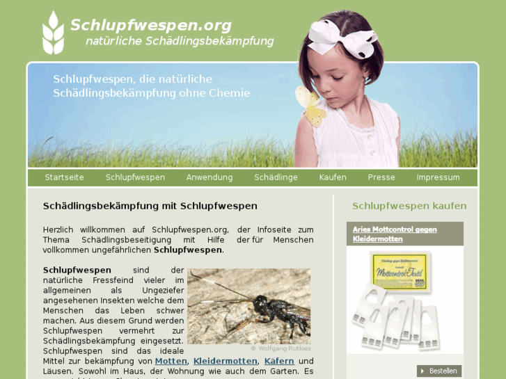 www.schlupfwespen.org