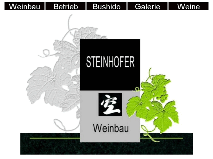 www.steinhofer.info