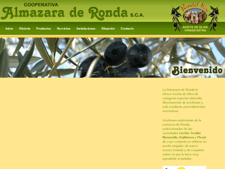 www.almazararonda.com