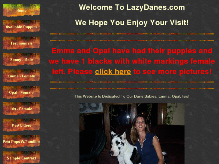 www.lazydanes.com