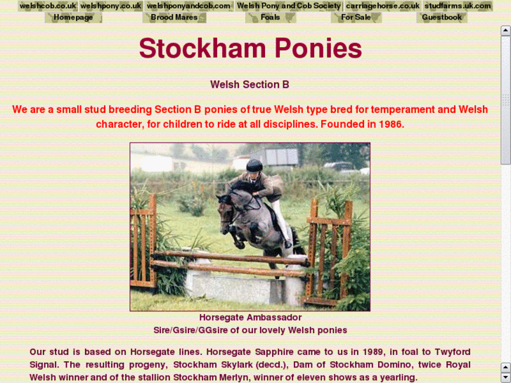 www.stockhamponies.com