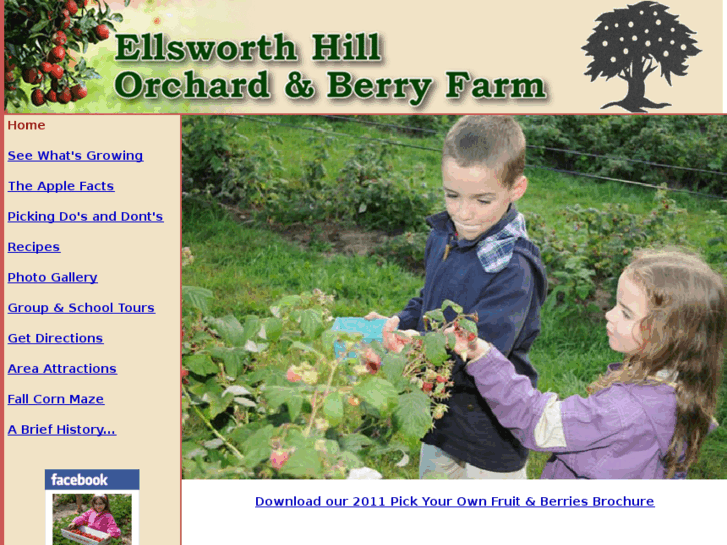 www.ellsworthfarm.com