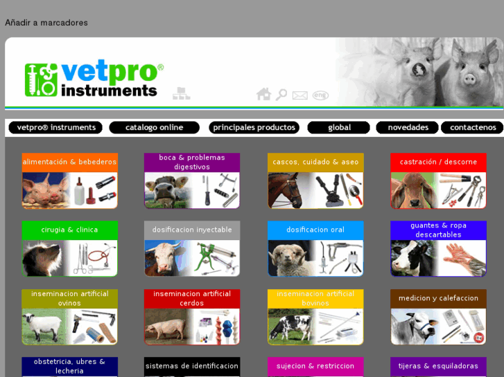 www.instrumentalveterinario.com