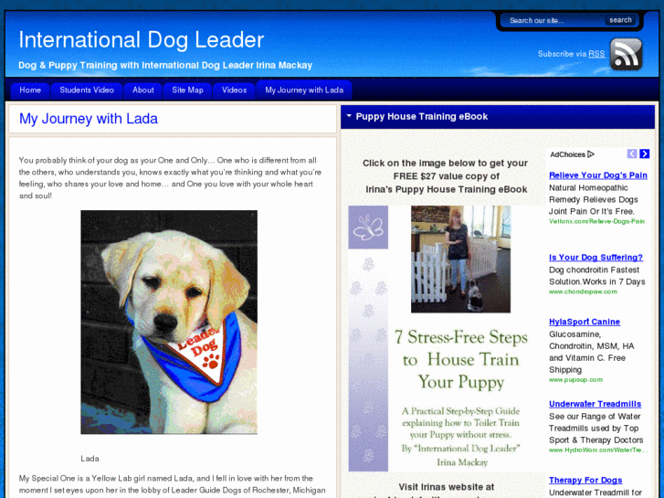 www.internationaldogleader.com