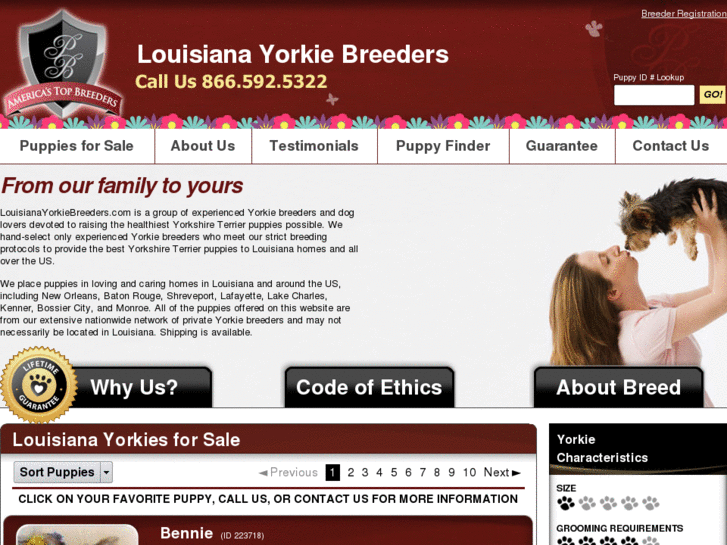 www.louisianayorkiebreeders.com