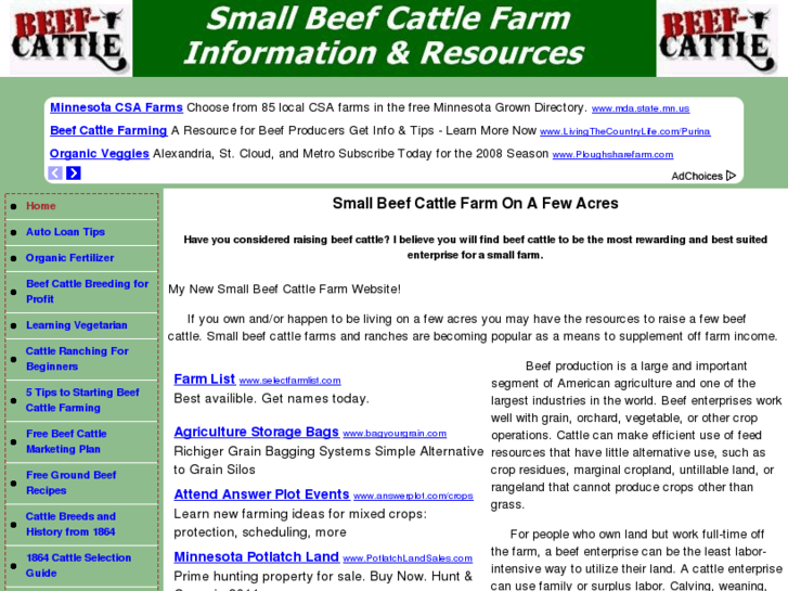 www.small-beef-cattle.com