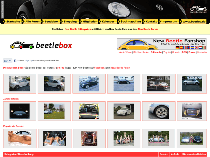 www.beetlebox.de