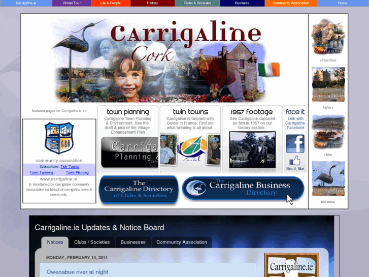 www.carrigaline.ie