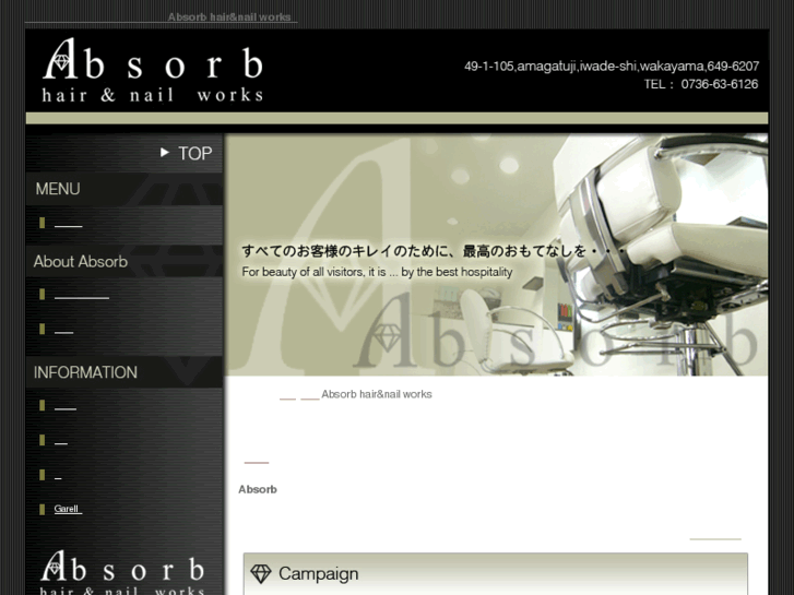 www.e-absorb.com