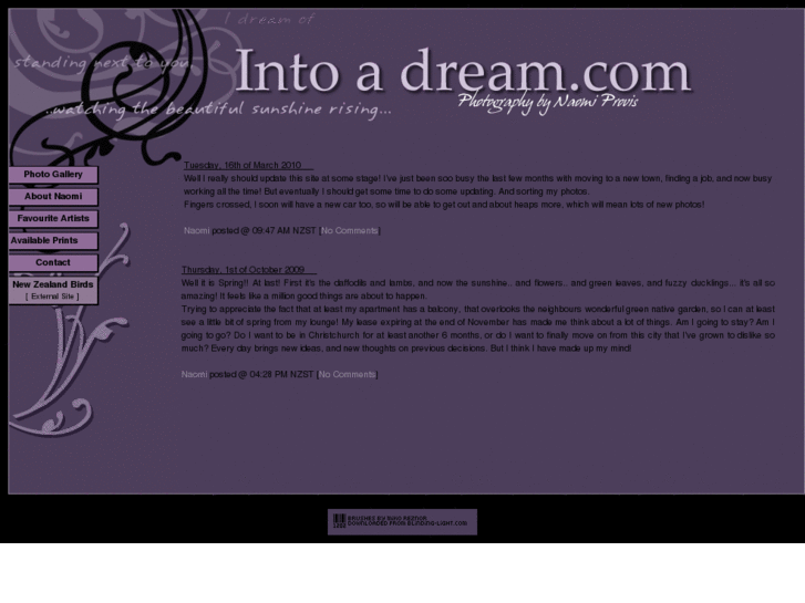 www.intoadream.com